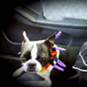 Meet your Posher, Sara